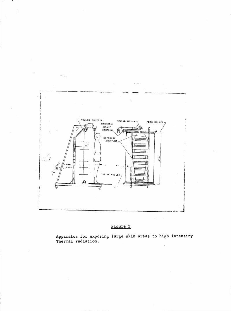 Figure 2: Apparatus for exposing large skin areas to high intensity Thermal radiation.