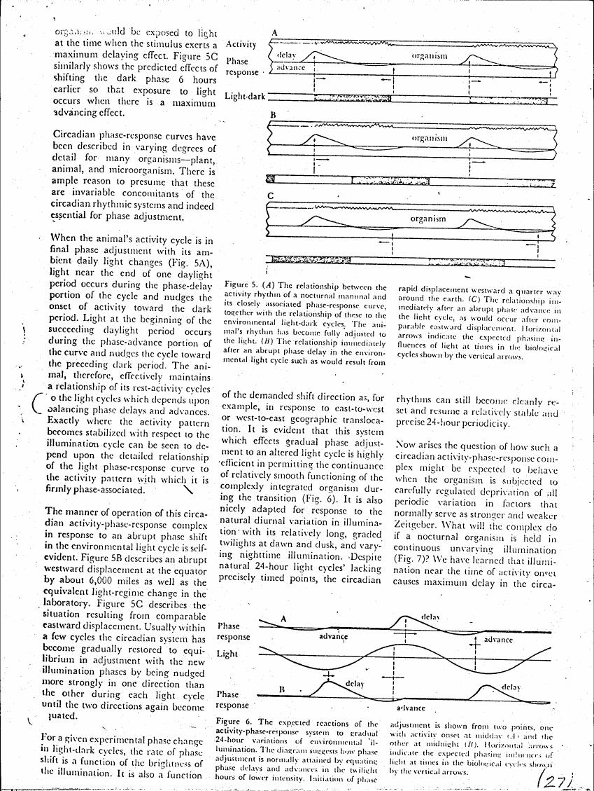AI-described figure: Figure 5 illustrates the relationship between an organism's activity rhythm and its phase-response curve in response to light-dark cycles.