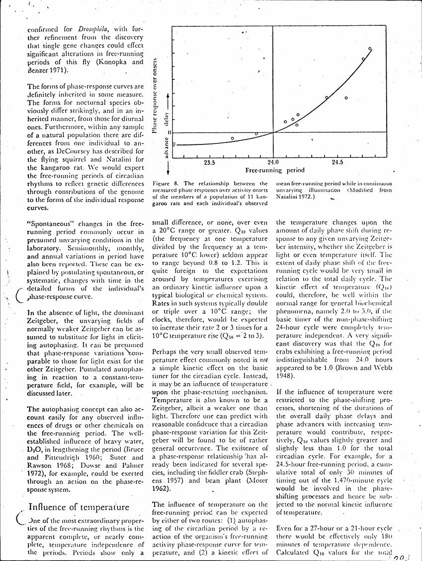 AI-described figure: Figure 8. The relationship between measured phase responses over activity onsets and free-running period in a population of kangaroo rats.