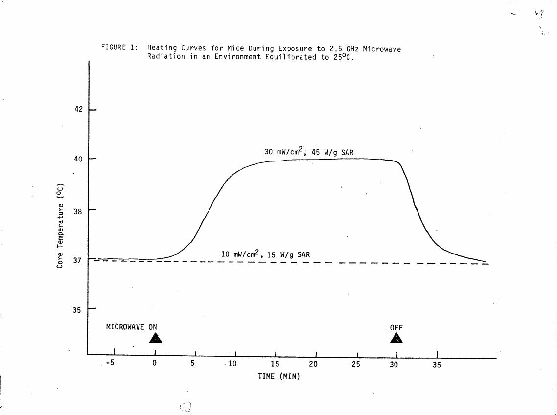 Figure 1: Heating Curves for Mice During Exposure to 2.5 GHz Microwave Radiation in an Environment Equilibrated to 25°C.