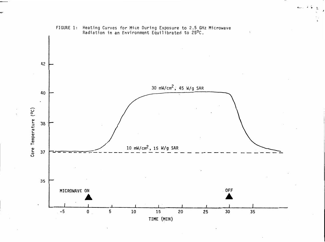 AI-described figure: Figure 1: Heating Curves for Mice During Exposure to 2.5 GHz Microwave Radiation in an Environment Equilibrated to 25°C.