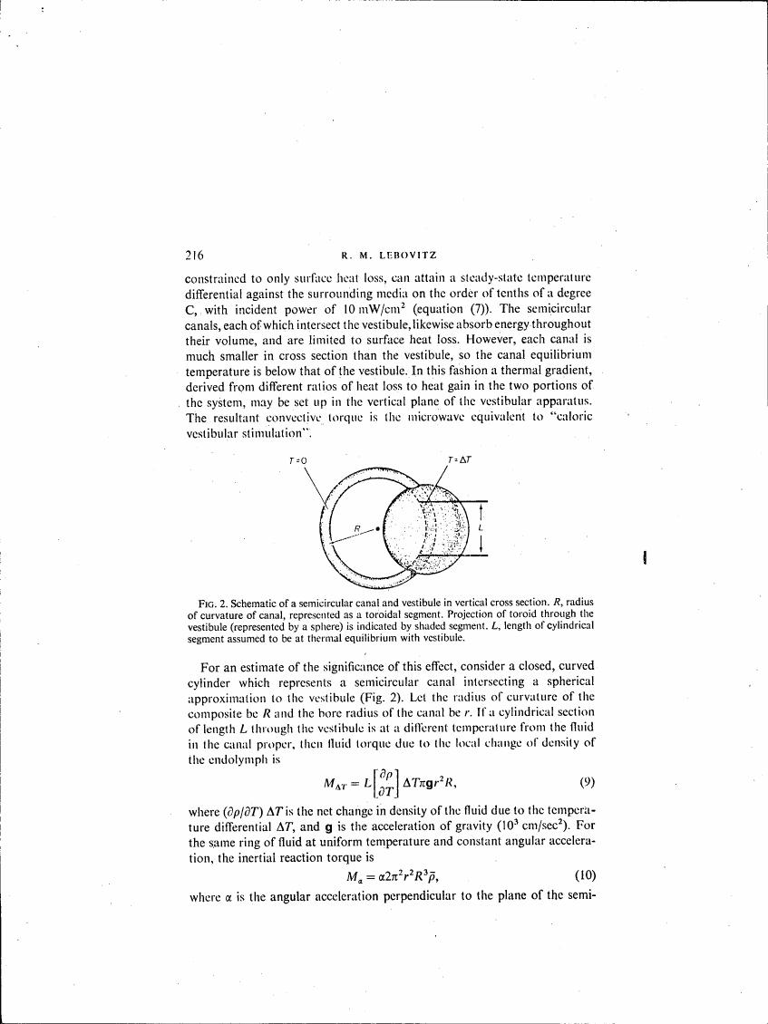 AI-described figure: Fig. 2: Schematic of a semicircular canal and vestibule in vertical cross section.