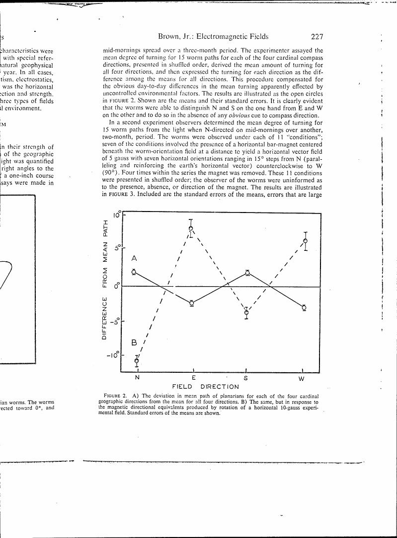 Figure 2. A) The deviation in mean path of planarians for each of the four cardinal geographic directions from the mean for all four directions. B) The same, but in response to the magnetic directional equivalents produced by rotation of a horizontal 10-gauss experimental field. Standard errors of the means are shown.