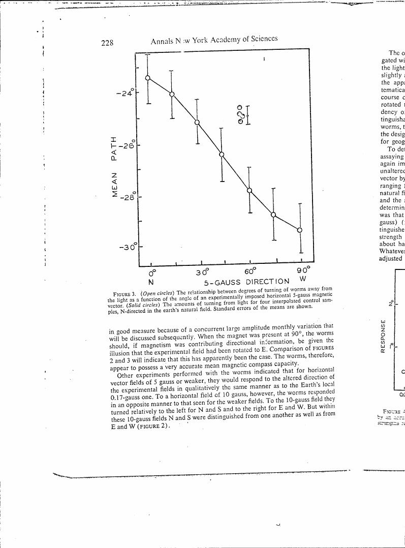 Figure 3: The relationship between degrees of turning of worms away from the light as a function of the angle of an experimentally imposed horizontal 5-gauss magnetic vector.