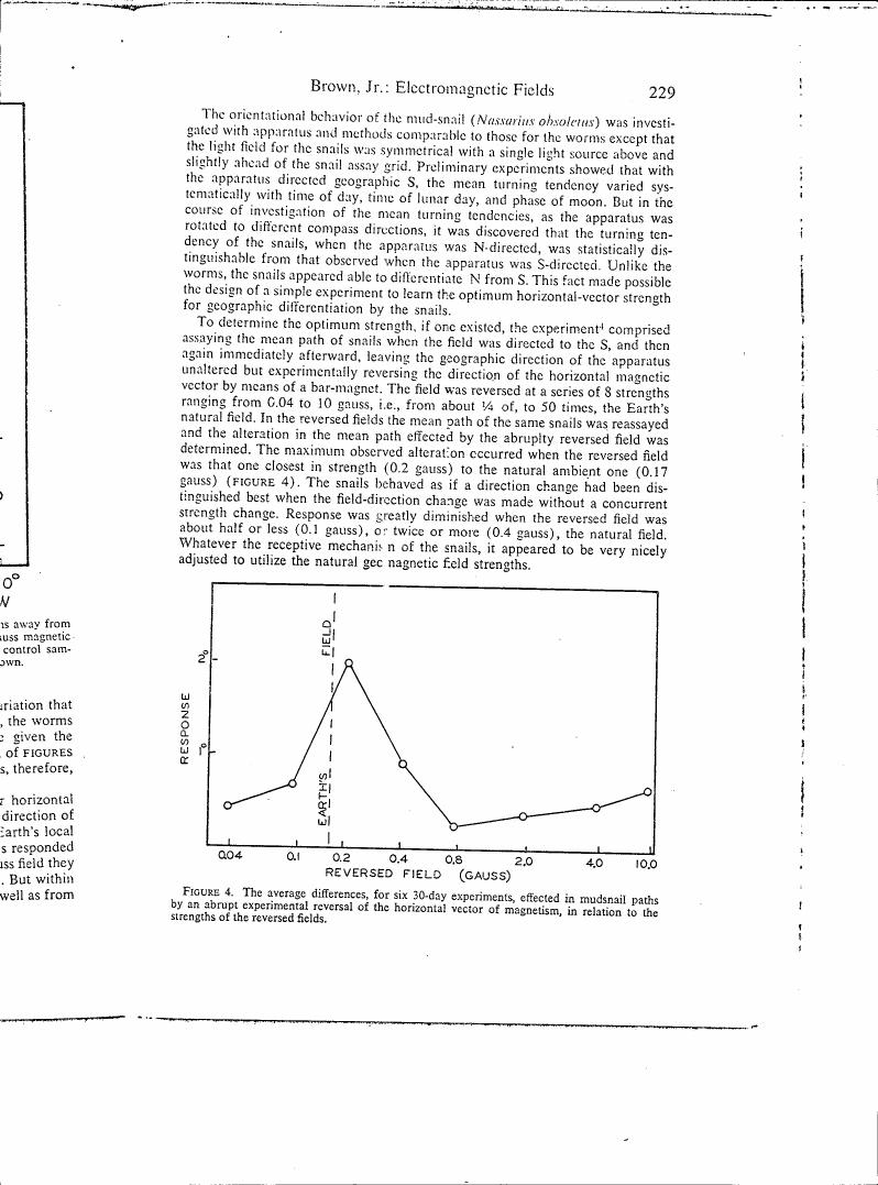 AI-described figure: Figure 4. The average differences for six 30-day experiments effected in mudsnail paths by an abrupt experimental reversal of the horizontal vector of magnetism, in relation to the strengths of the reversed fields.
