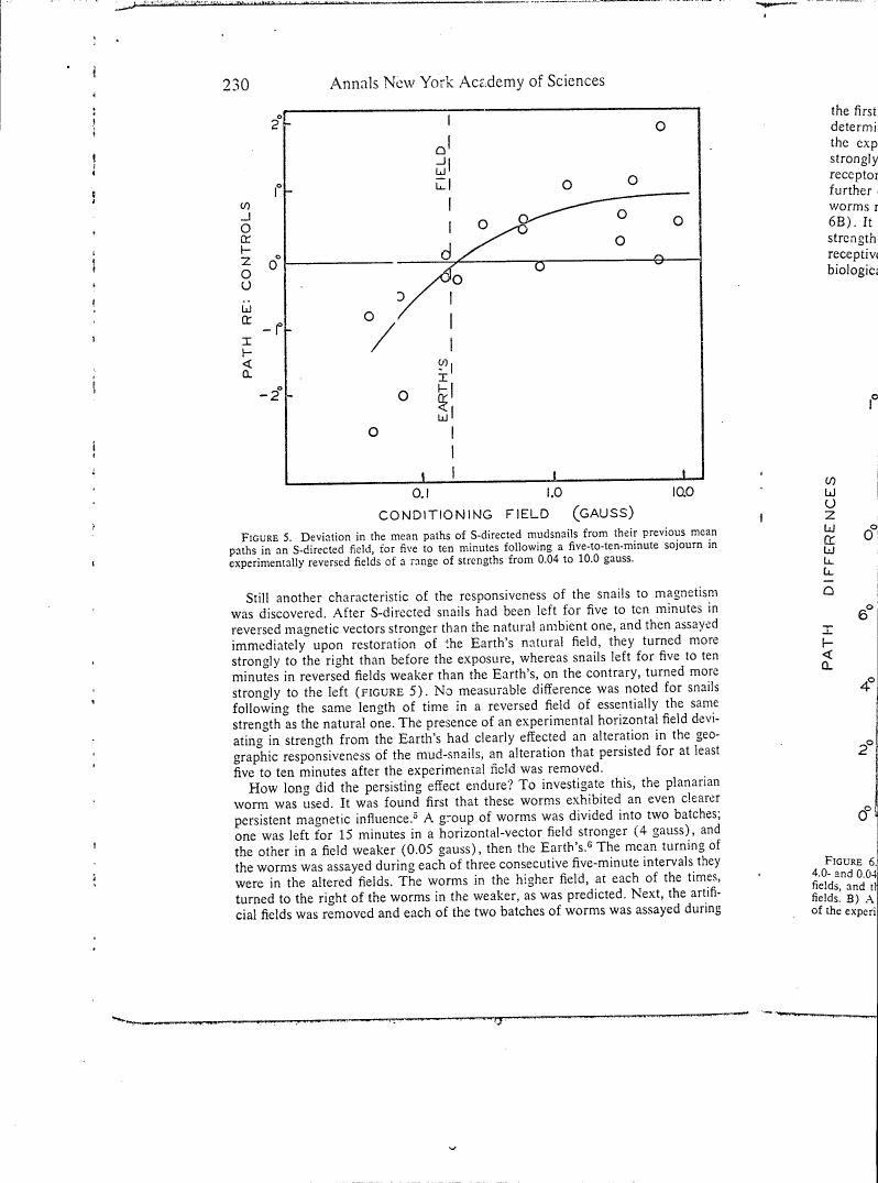 Figure 5. Deviation in the mean paths of S-directed mudsnails from their previous mean paths in an S-directed field, for five to ten minutes following a five-to-ten-minute sojourn in experimentally reversed fields of a range of strengths from 0.04 to 10.0 gauss.