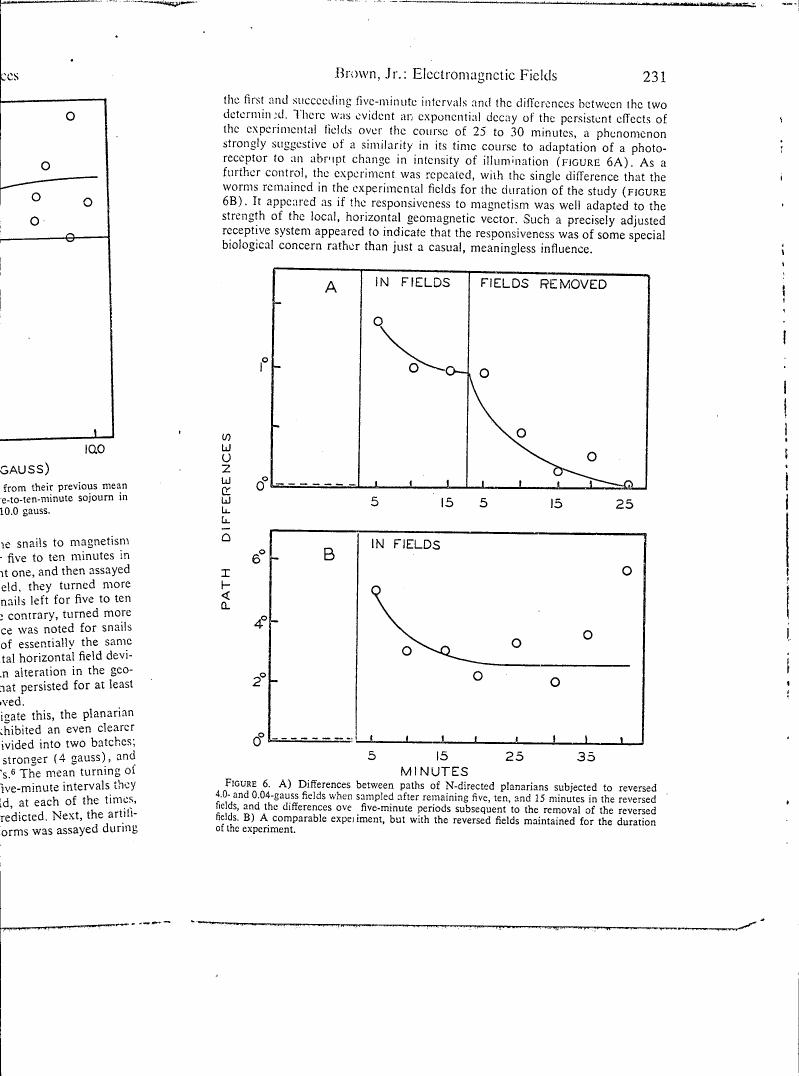 Figure 6. A) Differences between paths of N-directed planarians subjected to reversed 40- and 0.04-gauss fields when sampled after remaining five, ten, and fifteen minutes in the reversed fields, and the differences over five-minute periods subsequent to the removal of the reversed fields; B) A comparable experiment, but with the reversed fields maintained for the duration of the experiment.
