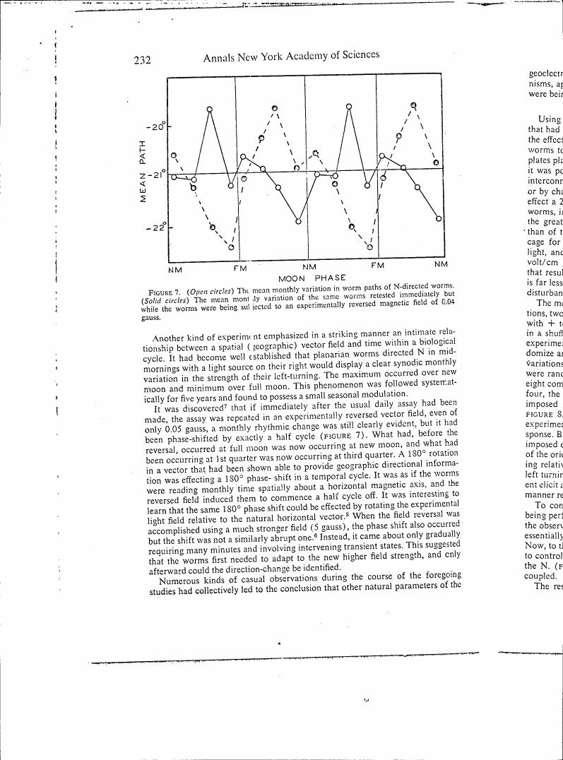 Figure 7 illustrates the mean monthly variation in worm paths for N-directed worms under normal and experimentally reversed magnetic fields.