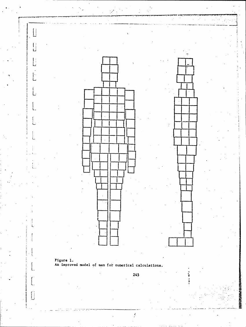 Figure 1. An improved model of man for numerical calculations.