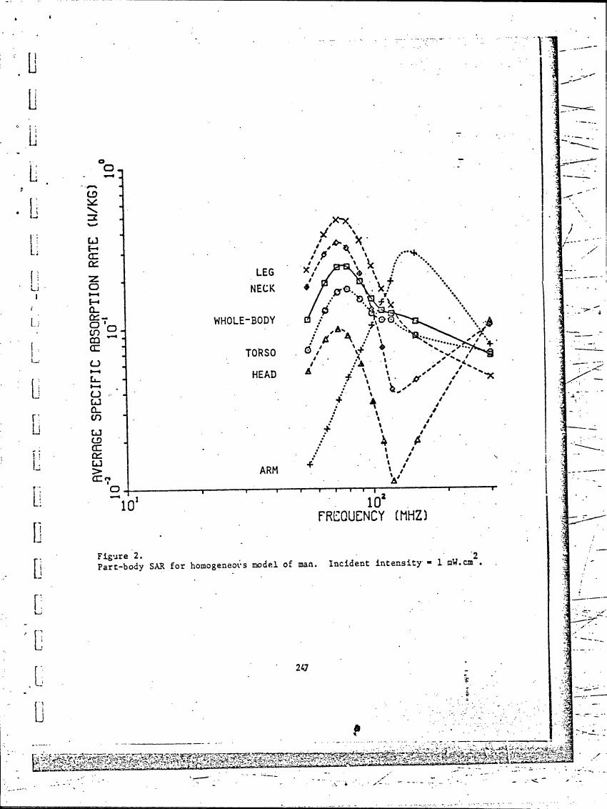 Figure 2. Part-body SAR for homogeneous model of man with incident intensity = 1 mW.cm^2.
