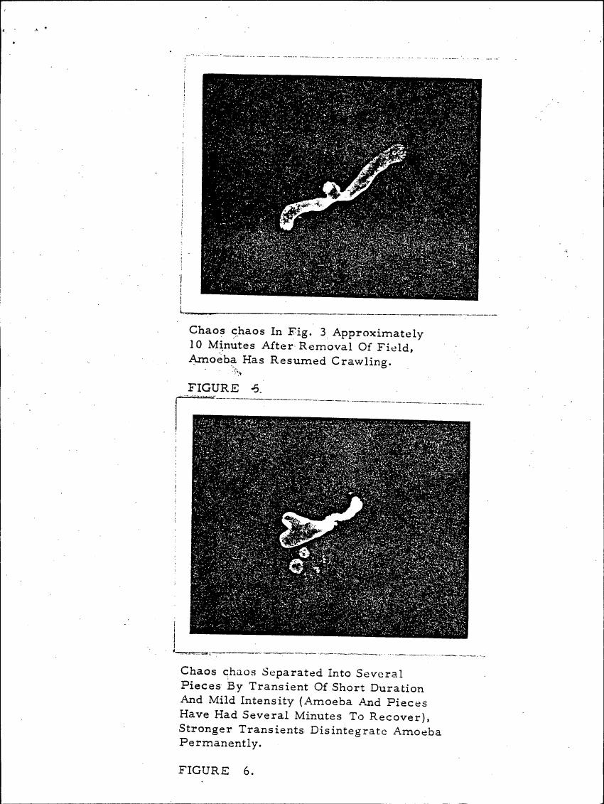 AI-described figure: Figures 5 and 6 show images of an amoeba under a microscope, with captions describing its movement after exposure to a field.
