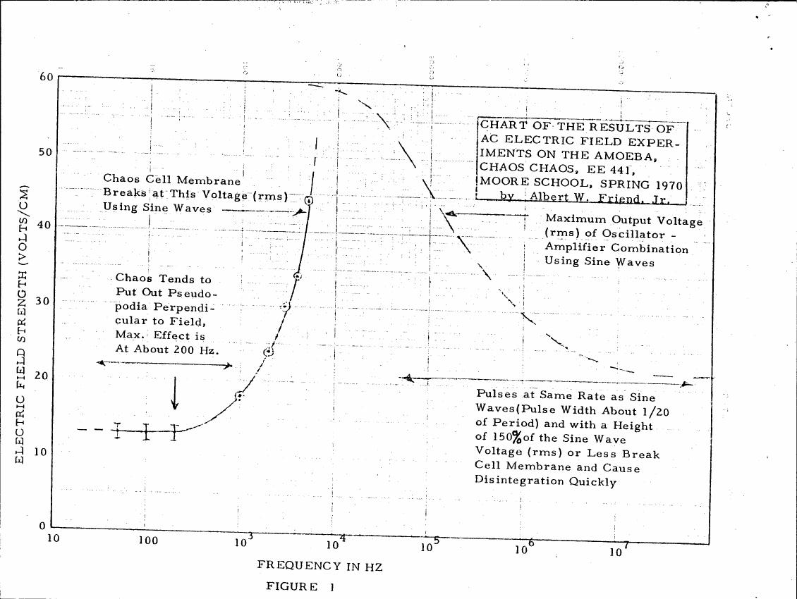 AI-described figure: Figure 1: A chart showing the results of AC electric field experiments on the amoeba, detailing voltage and frequency effects.