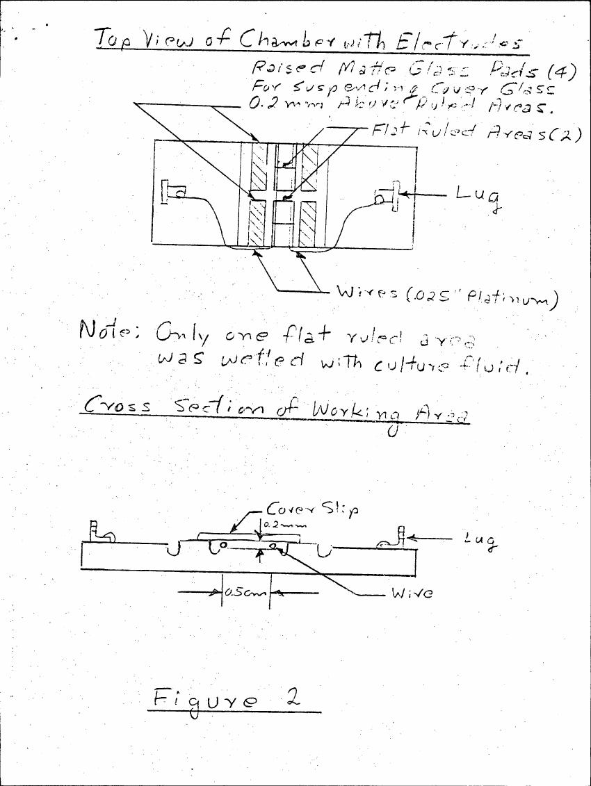 AI-described figure: Figure 2: Top view and cross-section diagram of a chamber with electrodes for suspending cover glass.