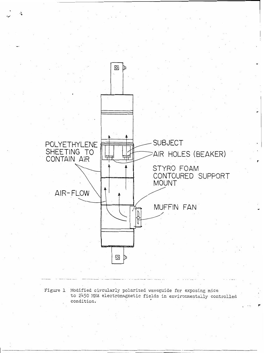 Figure 1: Modified circularly polarized waveguide for exposing mice to 2450 MHz electromagnetic fields in environmentally controlled condition.