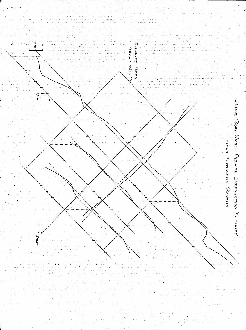 AI-described figure: A scientific diagram illustrating a field intensity profile for a whole-body small animal irradiation facility.