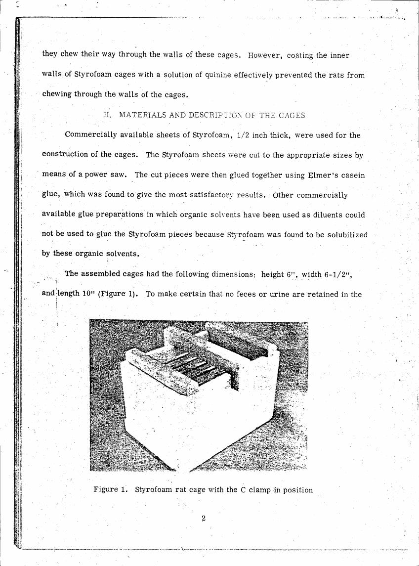 Figure 1. Styrofoam rat cage with the C clamp in position