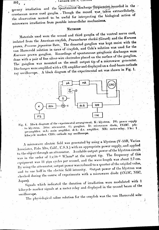 AI-described figure: Block diagram of the experimental arrangement for microwave irradiation on crustacean nerve ganglia.
