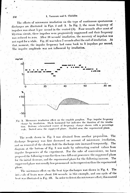 Fig. 3: Microwave irradiation effect on the crayfish ganglion showing impulse frequency change by irradiation and a schematic of frequency change with percentage scale.