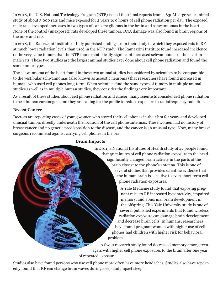 AI-described figure: A diagram illustrating brain impacts from cell phone radiation exposure.