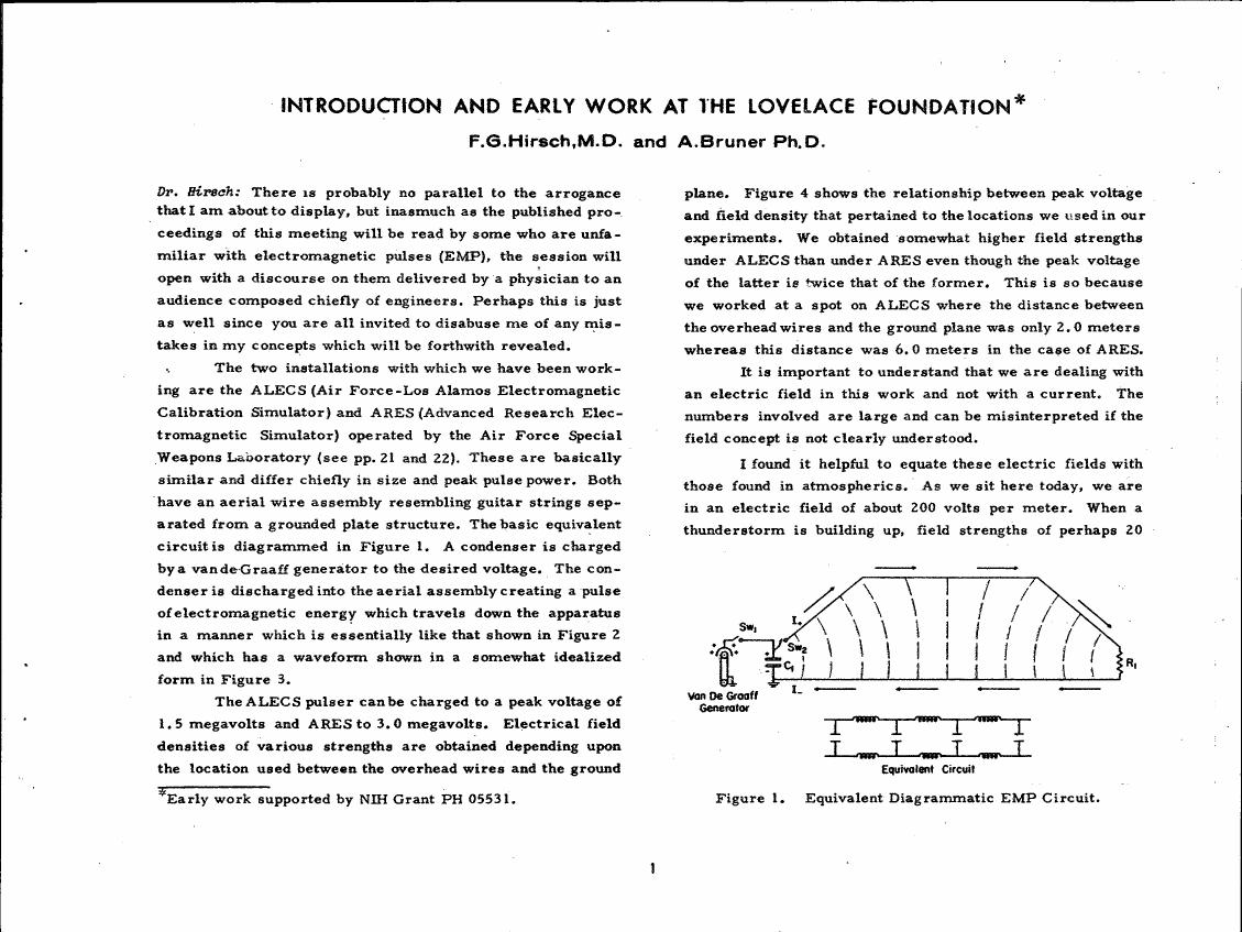 Figure 1. Equivalent Diagrammatic EMP Circuit.