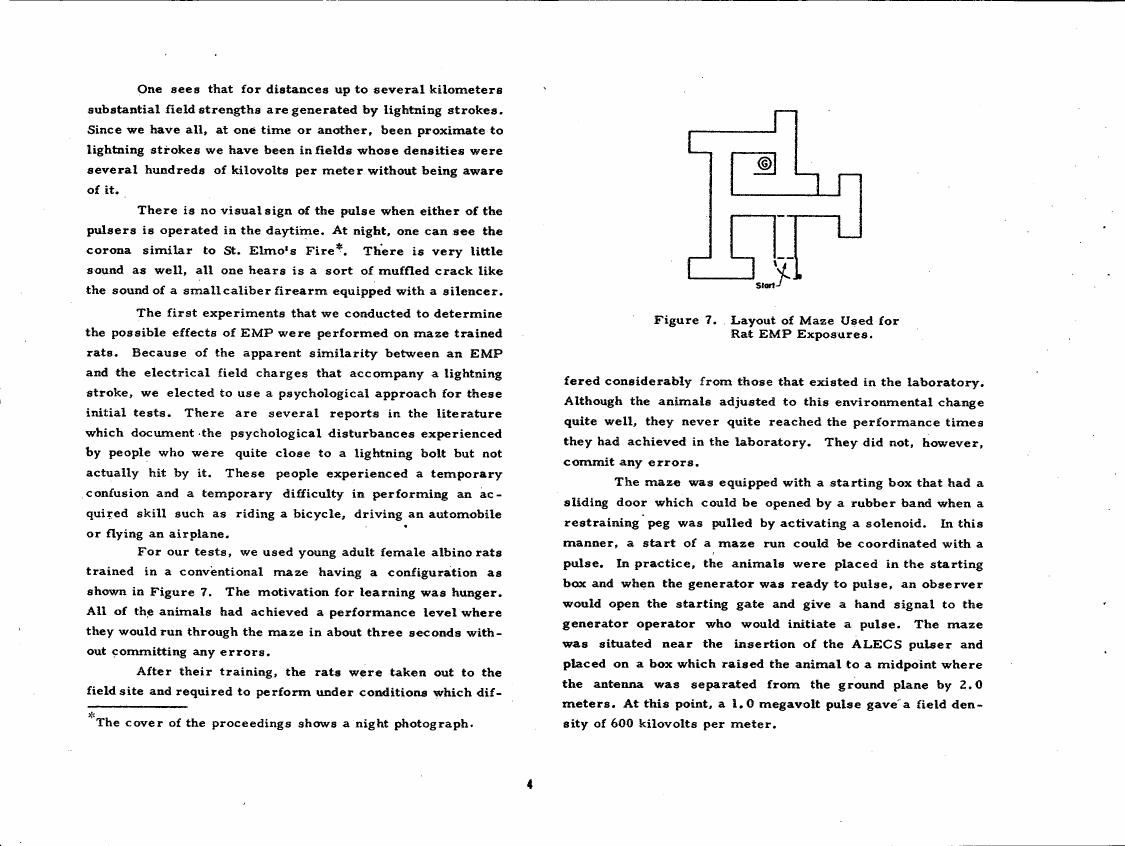 Figure 7. Layout of Maze Used for Rat EMP Exposures.