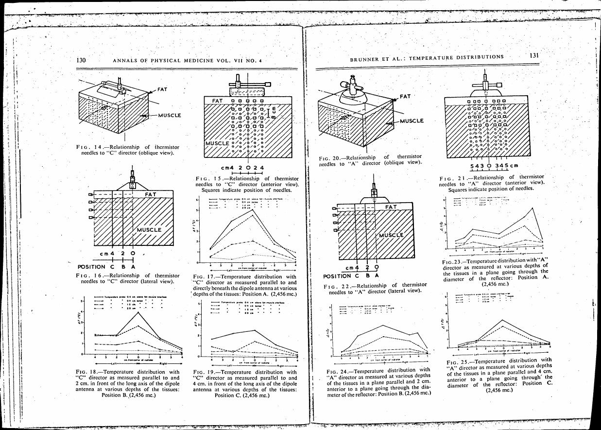 AI-described figure: Figures 14-25 illustrate the relationship and temperature distribution of thermistor needles in relation to 'C' and 'A' directors, with lateral and anterior views depicted for each.