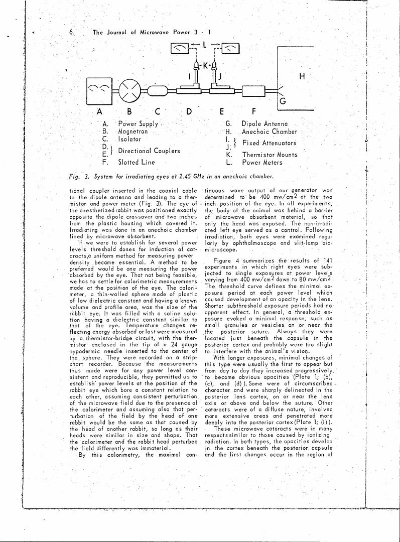 Fig. 3. System for irradiating eyes at 2.45 GHz in an anechoic chamber.