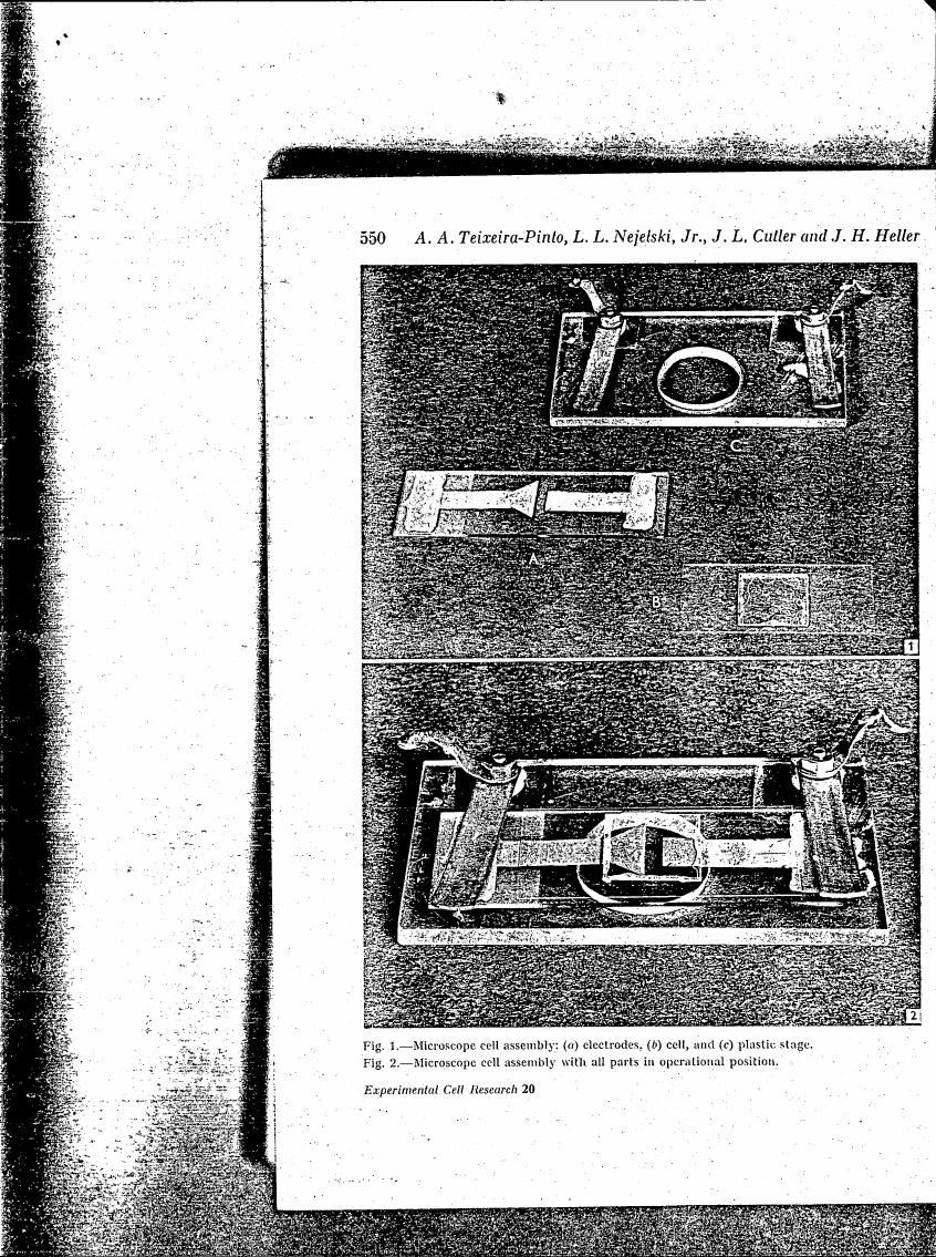 AI-described figure: Fig. 1 and Fig. 2 show a microscope cell assembly with electrodes, cells, plastic stages, and all parts in operational position.