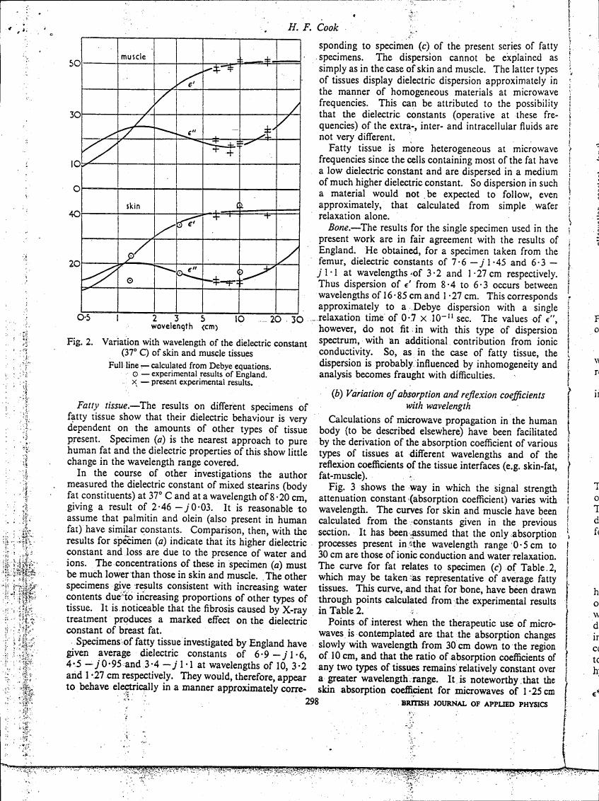 Fig. 2. Variation with wavelength of the dielectric constant (37°C) of skin and muscle tissues
