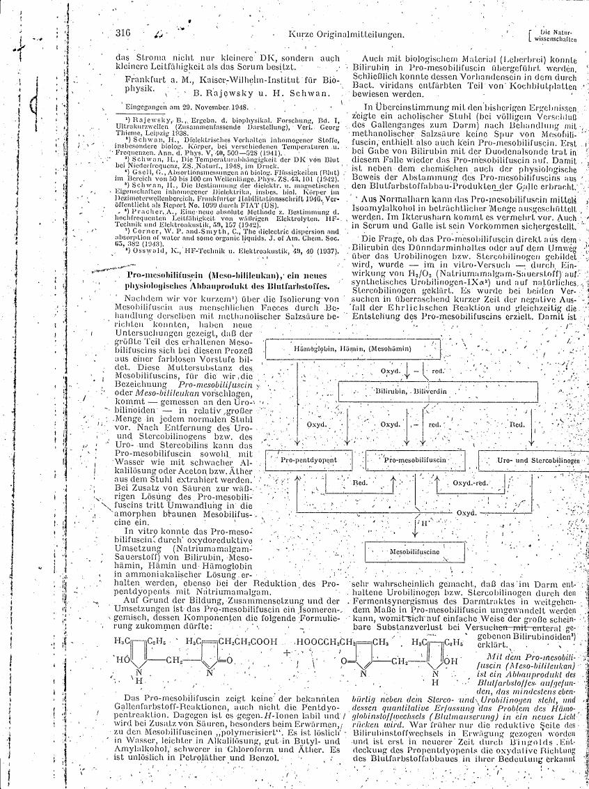 AI-described figure: The diagram illustrates a metabolic pathway involving bilirubin and its derivatives, including pro-mesobilifuscin (Meso-bilileukan), highlighting the conversion of bilirubin to mesobilifuscins through various oxidation-reduction steps.