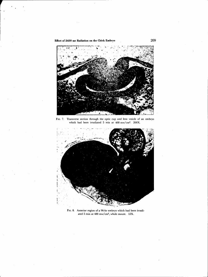 AI-described figure: Fig. 7 and Fig. 8 show transverse sections through an embryo's optic cup and lens vesicle after irradiation, highlighting structural changes at different magnifications.