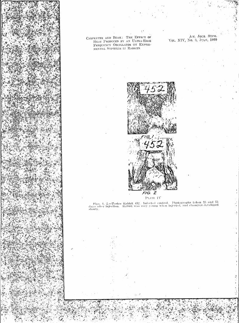AI-described figure: Figures showing photographs taken at different time points after injection in an experiment with rabbit 452.