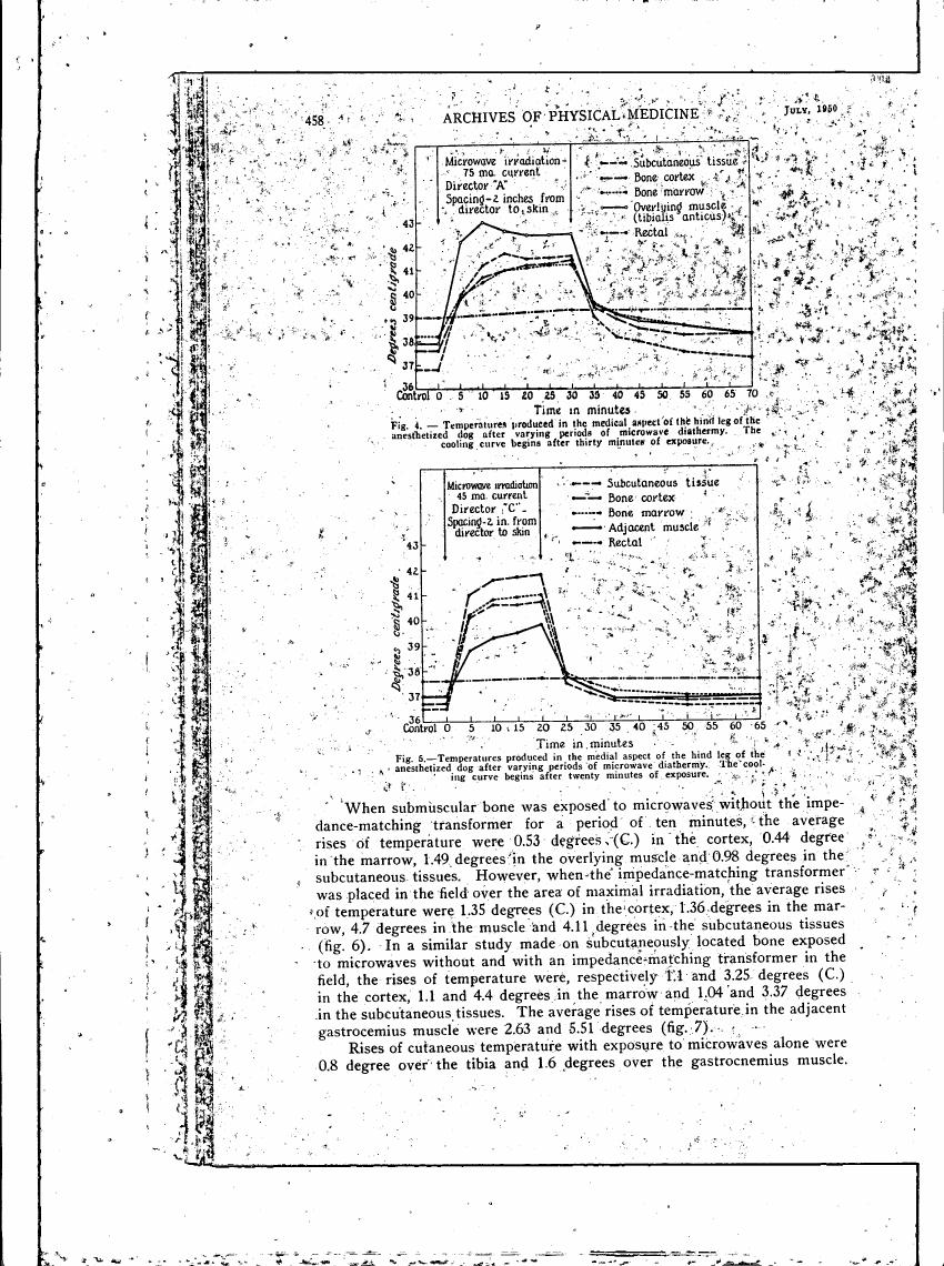 AI-described figure: Figures showing temperatures produced in various tissues after microwave diathermy exposure.