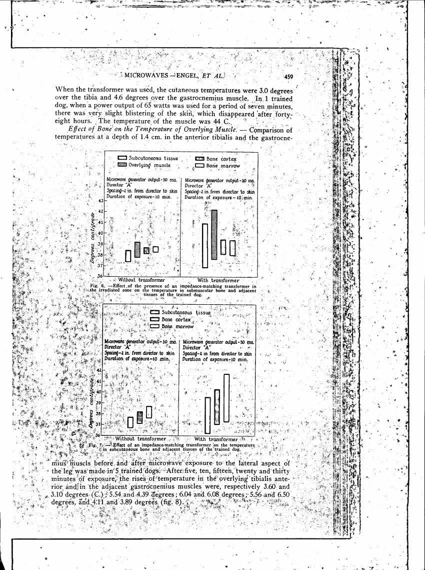 AI-described figure: Comparison of temperatures at a depth of 1.4 cm in the anterior tibialis and gastrocnemius muscles with and without an impedance-matching transformer.