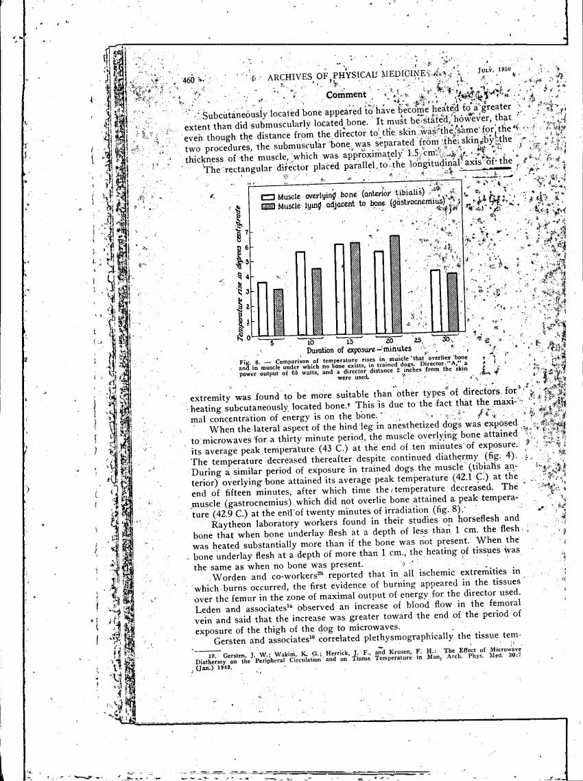 Comparison of temperature rises in muscle that overlies bone and in muscle under which no bone exists, in trained dogs.