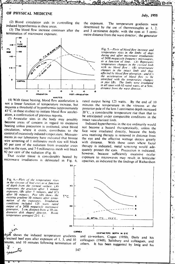 Fig. 5: Plots of blood flow increase and temperature rises in the limbs of dogs during and after microwave irradiations as a function of time.