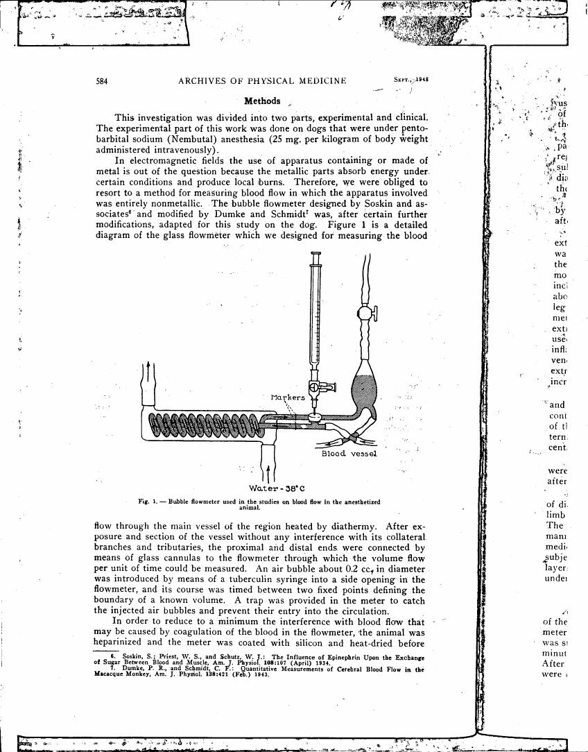 AI-described figure: Figure 1 depicts a detailed diagram of a glass flowmeter used for measuring blood flow in anesthetized animals.