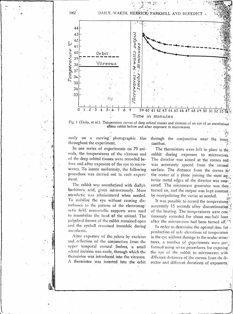 Figure 1 displays temperature curves for deep orbital tissues and vitreous humor in anesthetized rabbits before and after microwave exposure.