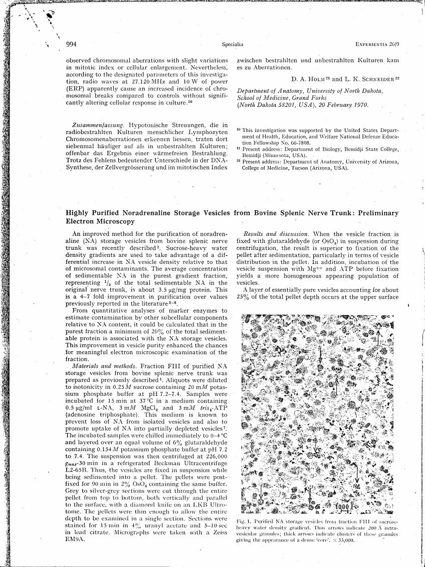 AI-described figure: Figure 1 displays purified NA storage vesicles from fraction FIII of sucrose-heavy water density gradient.