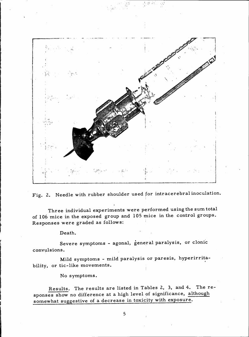 Fig. 2: Needle with rubber shoulder used for intracerebral inoculation.