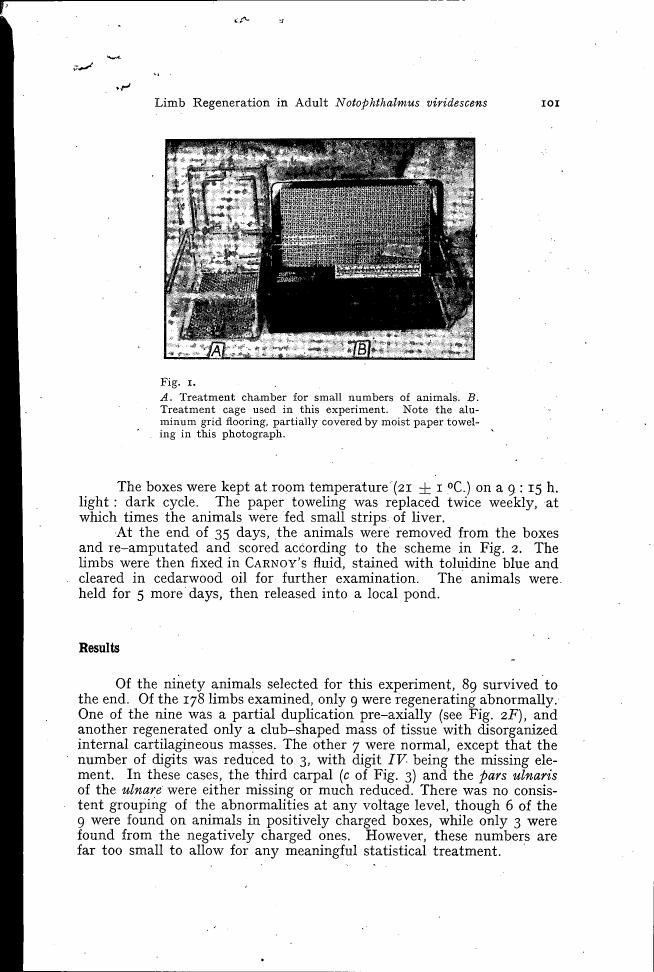 AI-described figure: A diagram showing a treatment chamber for small numbers of animals and a treatment cage used in an experiment.