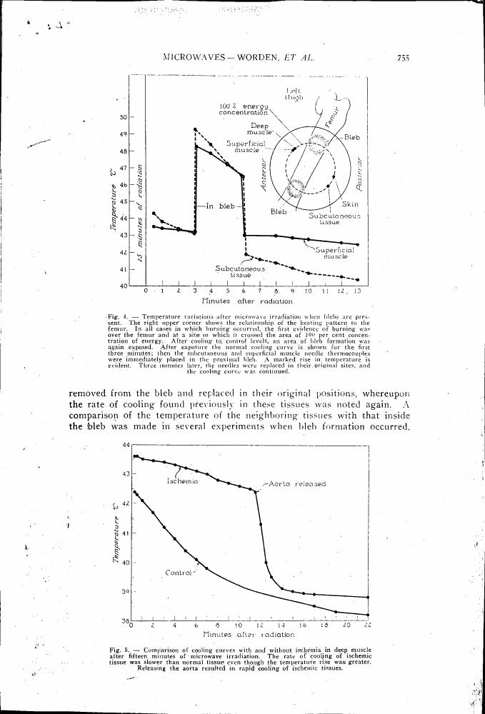 Figure 4. Temperature variations after microwave irradiation when blebs are present.