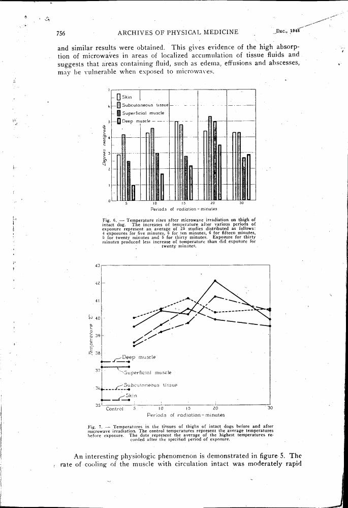 AI-described figure: Figure 6: Temperature rises after microwave irradiation on thigh of intact dog.