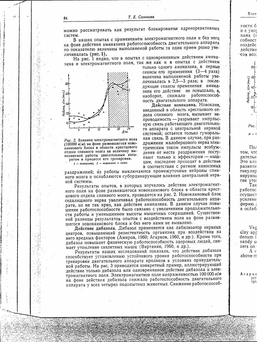 AI-described figure: A graph showing the effect of electromagnetic field (100,000 V/m) on the work capacity of a motor apparatus in the presence and absence of novocaine.