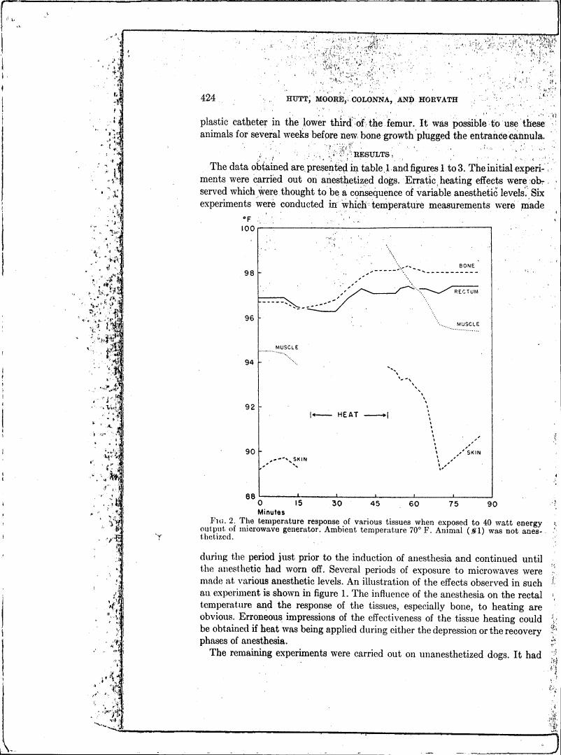 Figure 2. The temperature response of various tissues when exposed to 40 watt energy output of microwave generator.
