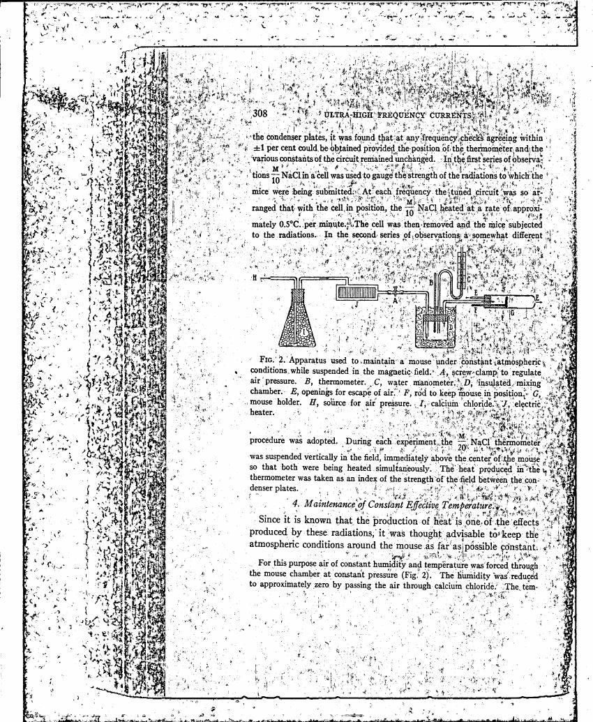 Fig. 2: Apparatus used to maintain a mouse under constant atmospheric conditions while suspended in the magnetic field.