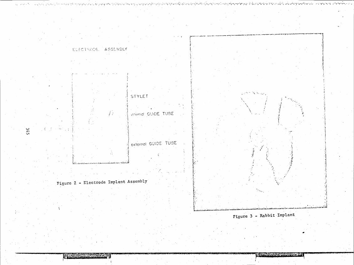 AI-described figure: Figure 2 - Electrode Implant Assembly and Figure 3 - Rabbit Implant