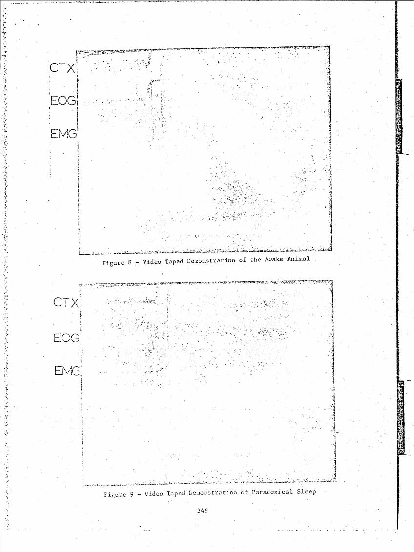 AI-described figure: Figure 8 and Figure 9 show video taped demonstrations of an awake animal and paradoxical sleep respectively.