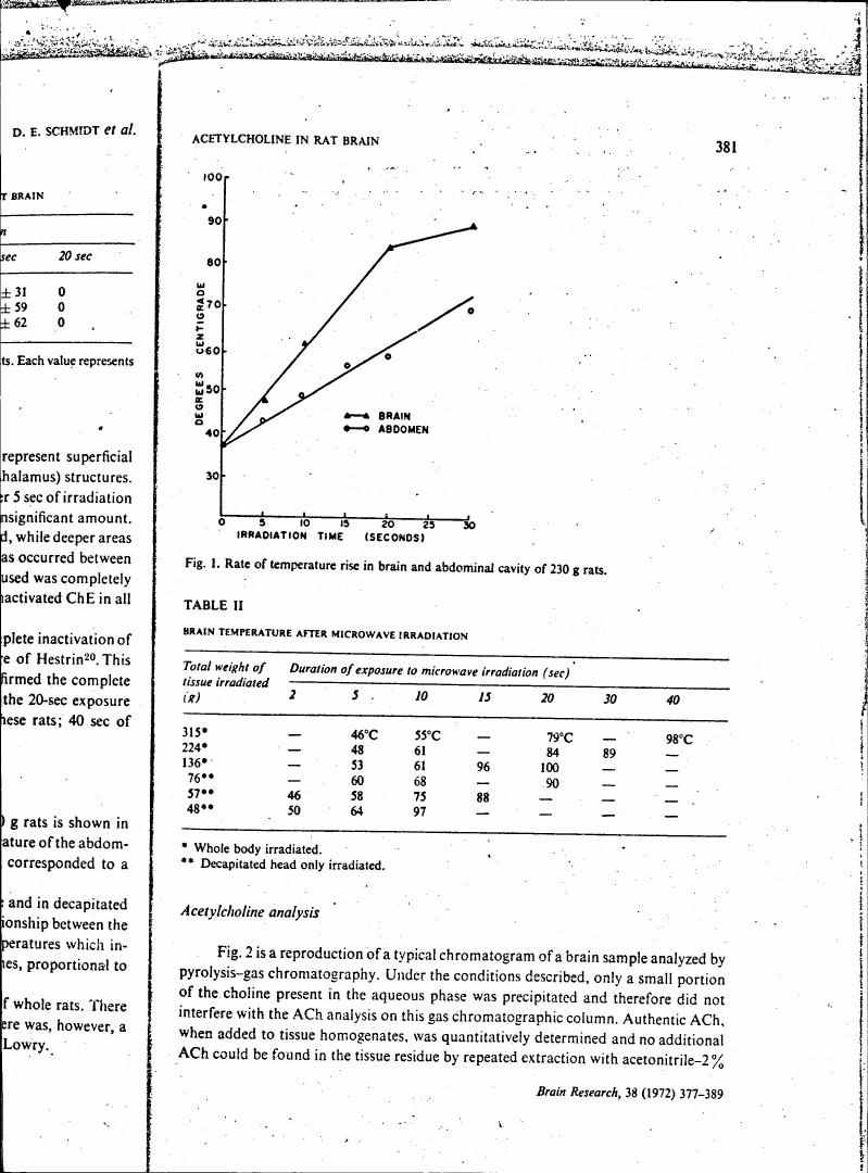 Fig. 1: Rate of temperature rise in brain and abdominal cavity of 230 g rats.