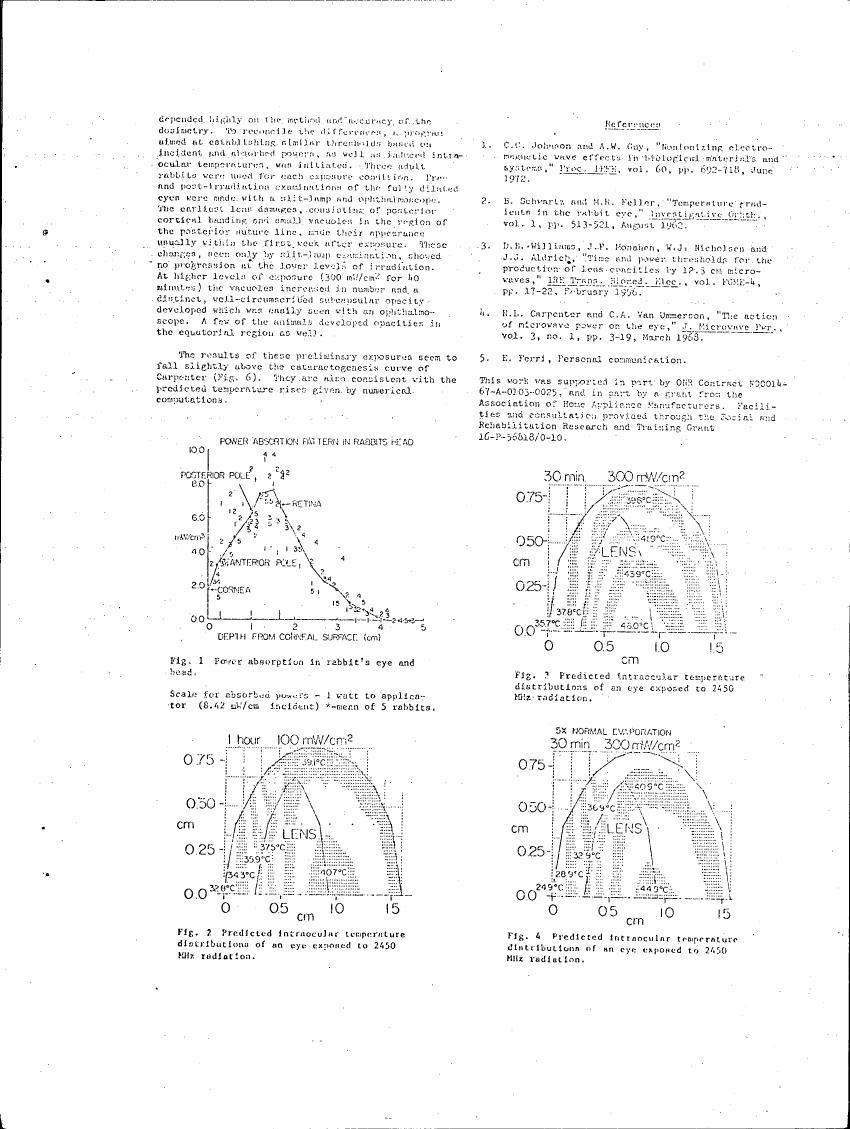 AI-described figure: Figure 1 illustrates power absorption in a rabbit's eye and head.